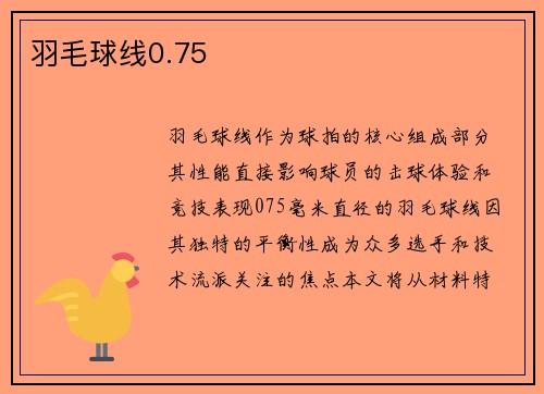 羽毛球线0.75
